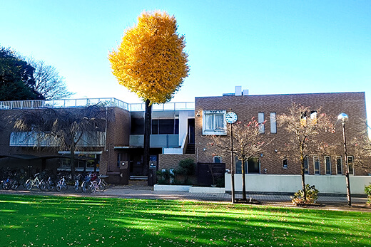 緑いっぱい環境で働ける至誠学園中庭の様子